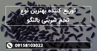 توزیع کننده بهترین نوع تخم شربتی بالنگو