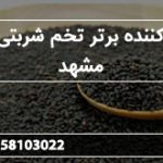 تولید کننده برتر تخم شربتی ارزان مشهد