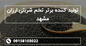 تولید کننده برتر تخم شربتی ارزان مشهد