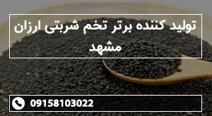 تولید کننده برتر تخم شربتی ارزان مشهد