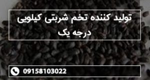 تولید کننده تخم شربتی کیلویی درجه یک