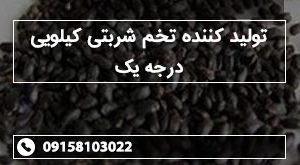 تولید کننده تخم شربتی کیلویی درجه یک