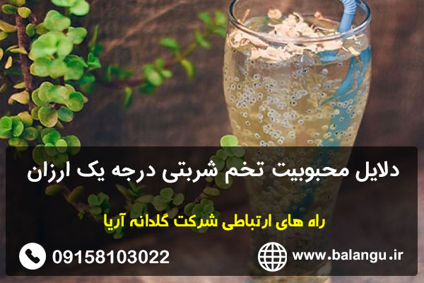 دلایل محبوبیت تخم شربتی درجه یک ارزان