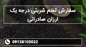 سفارش تخم شربتی درجه یک ارزان صادراتی