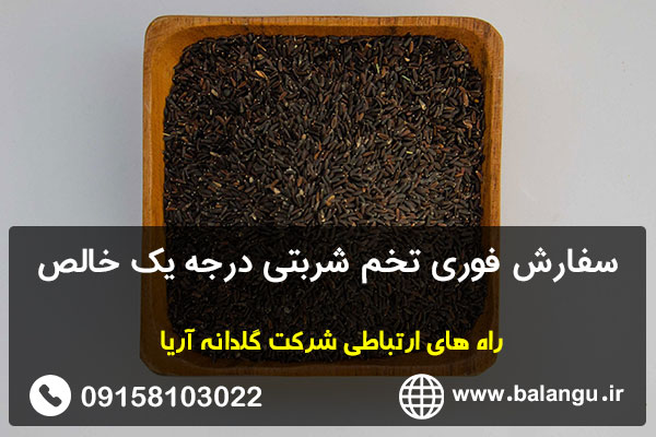 سفارش فوری تخم شربتی درجه یک خالص