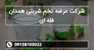 شرکت عرضه تخم شربتی همدان فله ای
