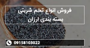 فروش انواع تخم شربتی بسته بندی ارزان