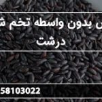 فروش بدون واسطه تخم شربتی درشت