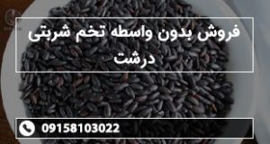 فروش بدون واسطه تخم شربتی درشت