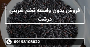 فروش بدون واسطه تخم شربتی درشت