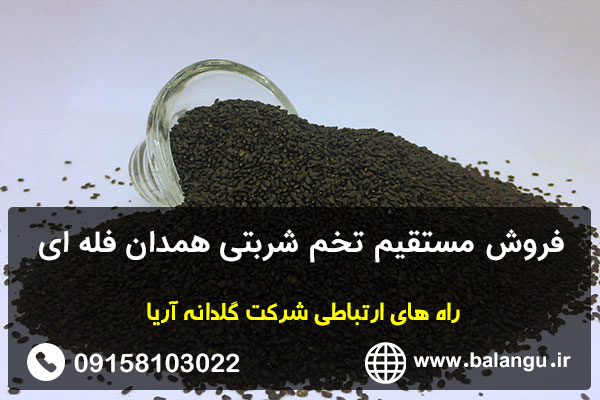 فروش مستقیم تخم شربتی همدان فله ای