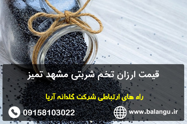 قیمت ارزان تخم شربتی مشهد تمیز