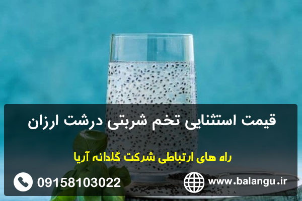 قیمت استثنایی تخم شربتی درشت ارزان