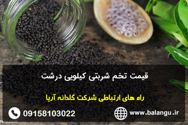 قیمت تخم شربتی کیلویی درشت