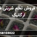 قیمت فروش تخم شربتی فله ای ارگانیک