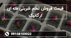 قیمت فروش تخم شربتی فله ای ارگانیک