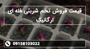 قیمت فروش تخم شربتی فله ای ارگانیک