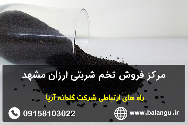 مرکز فروش تخم شربتی ارزان مشهد