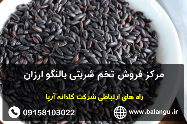 مرکز فروش تخم شربتی بالنگو ارزان