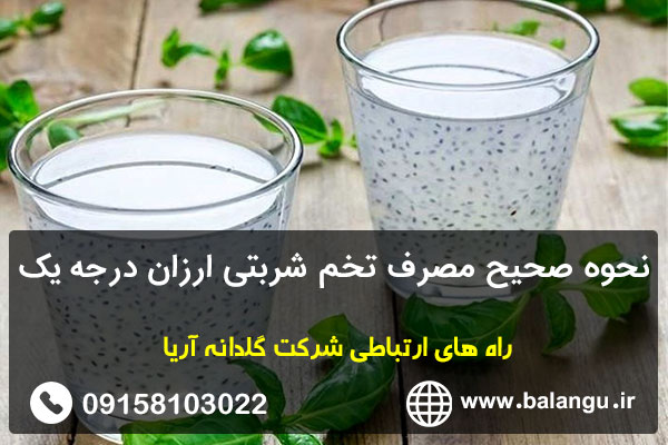 نحوه صحیح مصرف تخم شربتی ارزان درجه یک