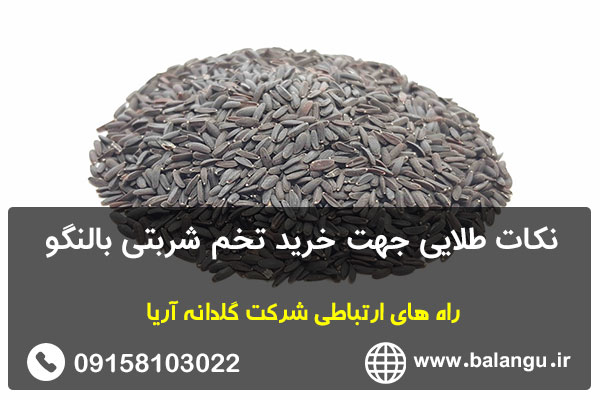 نکات طلایی جهت خرید تخم شربتی بالنگو