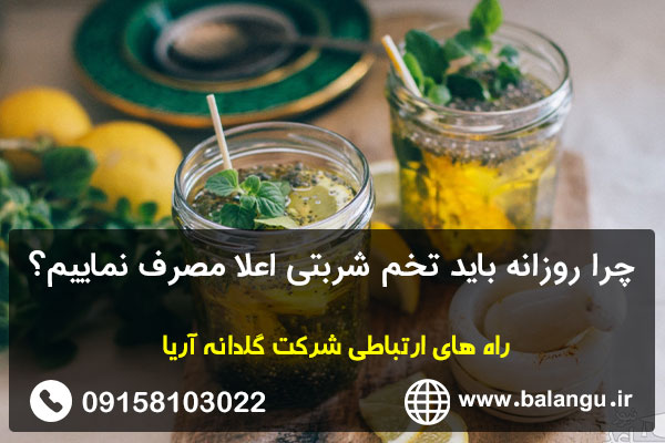 چرا روزانه باید تخم شربتی اعلا مصرف نماییم؟