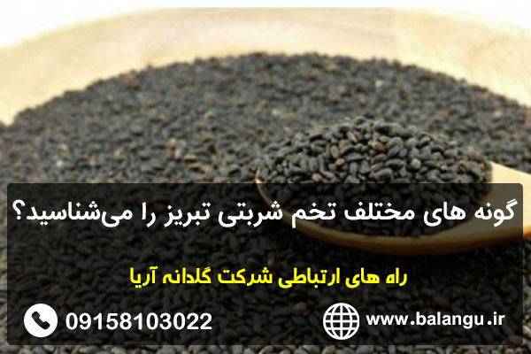 گونه های مختلف تخم شربتی تبریز را می‌شناسید؟