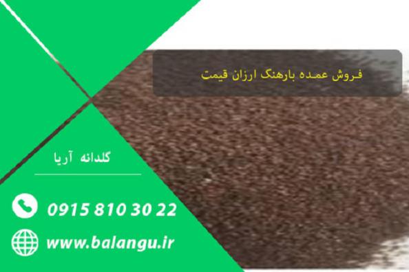 فروش عمده تخم بارهنگ صادراتی