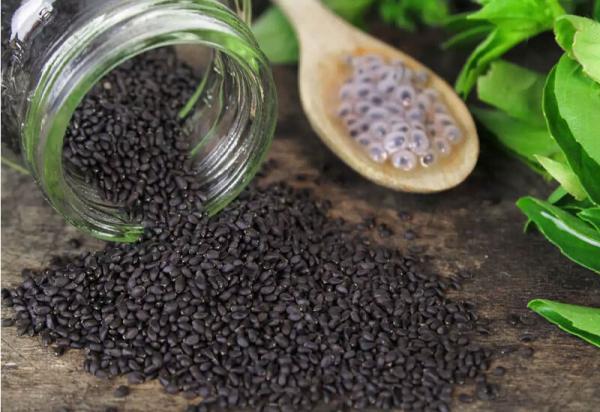 علت محبوبیت تخم ریحان سبز