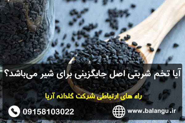 آیا تخم شربتی اصل جایگزینی برای شیر می‌باشد؟