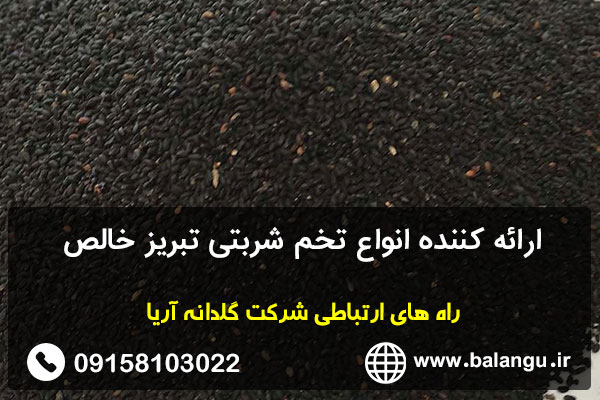 ارائه کننده انواع تخم شربتی تبریز خالص