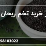 بازار خرید تخم ریحان اعلا