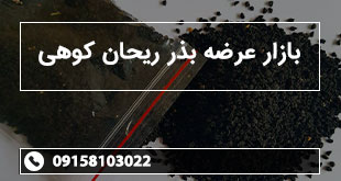 بازار عرضه بذر ریحان کوهی
