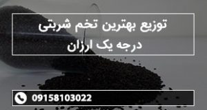 توزیع بهترین تخم شربتی درجه یک ارزان