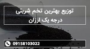 توزیع بهترین تخم شربتی درجه یک ارزان