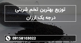 توزیع بهترین تخم شربتی درجه یک ارزان