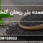 تولید عمده بذر ریحان گلخانه ای