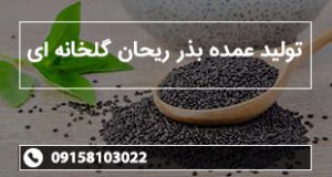 تولید عمده بذر ریحان گلخانه ای