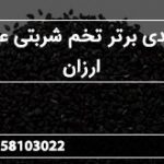 تولیدی برتر تخم شربتی عمده ارزان