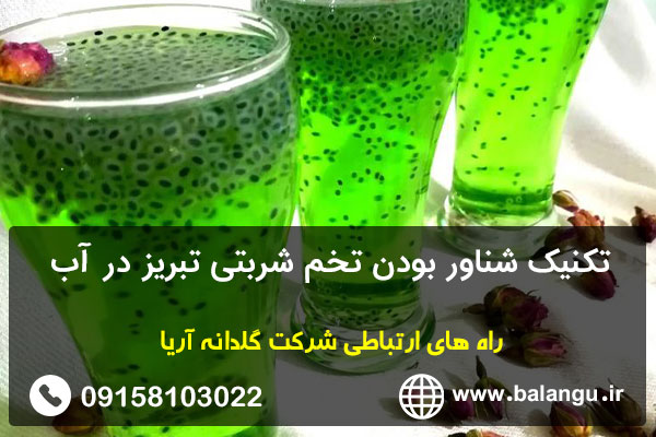 تکنیک شناور بودن تخم شربتی تبریز در آب