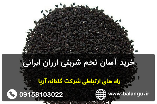 خرید آسان تخم شربتی ارزان ایرانی