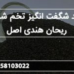خرید شگفت انگیز تخم شربتی ریحان هندی اصل