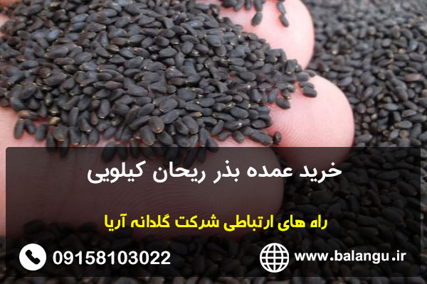 خرید عمده بذر ریحان کیلویی