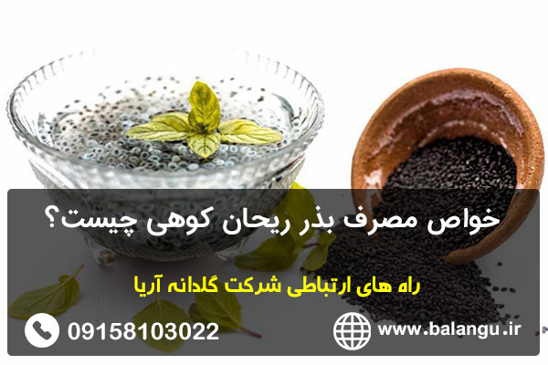 خواص مصرف بذر ریحان کوهی چیست؟