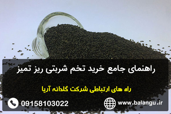 راهنمای جامع خرید تخم شربتی ریز تمیز