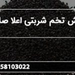 سفارش تخم شربتی اعلا صادراتی