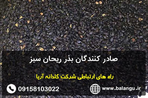 صادر کنندگان بذر ریحان سبز