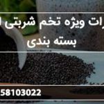 صادرات ویژه تخم شربتی ارزان بسته بندی