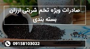 صادرات ویژه تخم شربتی ارزان بسته بندی