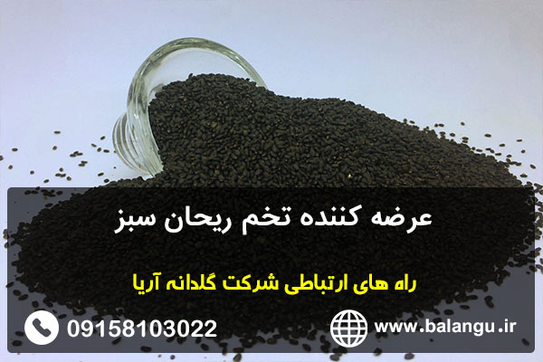 عرضه کننده تخم ریحان سبز